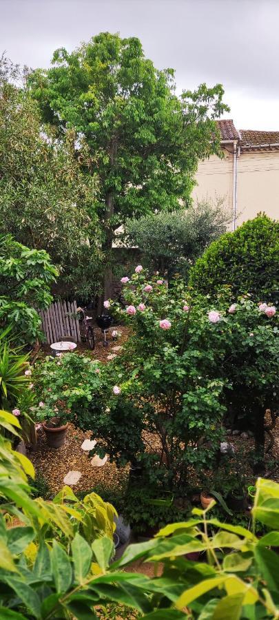 Villa Fontilha Usclas-l'Herault Eksteriør bilde